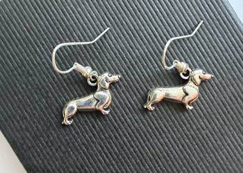 Kolczyki z metalu jamniki