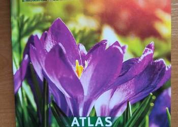 Atlas roślin . 200  polskich gatunków