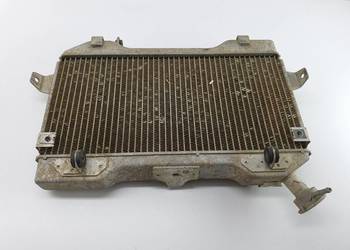 Chlodnica Suzuki Ltr 450