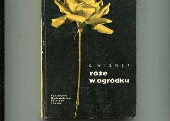 Róże w ogródku - Wizner