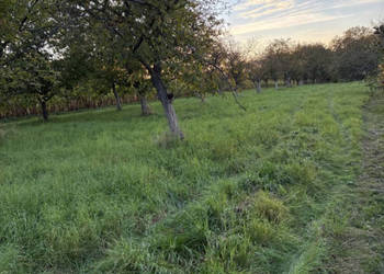 Działka – Łańcut, Grabskie, 39,51 ara