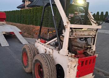 Bobcat
