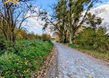 Na sprzedaż działki bud., Sztumskie Pole, 1146m2