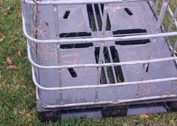 Kosz mauzer krata plastikowa paleta