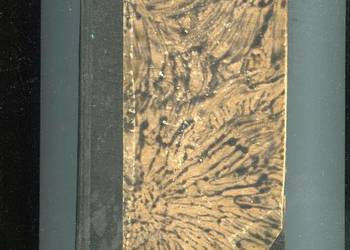 Żywot pani i inne świecidełka - Kornel Makuszyński