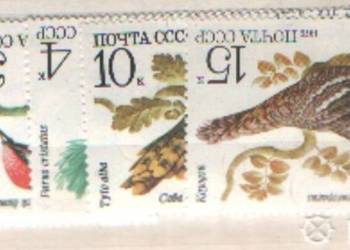 Zn. ZSRR Mi 4883 - 7 kas 1979