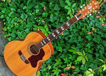 Gitara elektroakustyczna 12 strunowa CLJ-412E NT