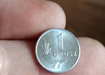Sprzedam 1 grosz 1949 rok ccc