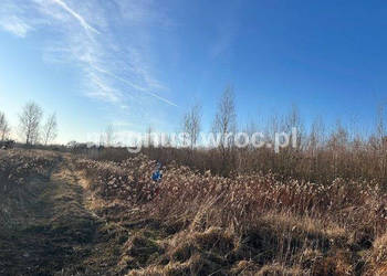 Oferuję działke inwestycyjną w Jerzmanowie