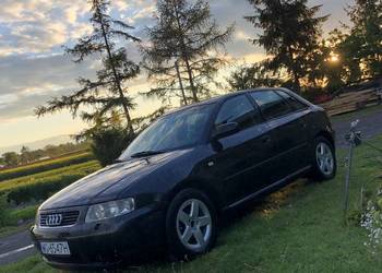 Audi a3 8l 2000rok