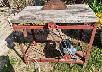 Trajzega cyrkulatka piła.