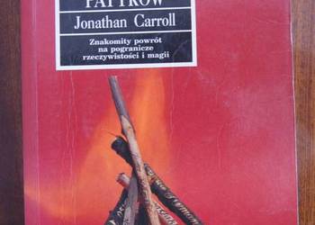 Jonathan Carroll - Zaślubiny patyków