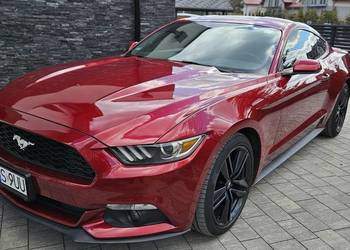 Ford Mustang 3,7 Automat 306KM