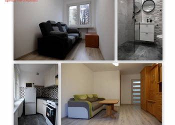 Mieszkanie do wynajęcia Chorzów 50m2 2 pok