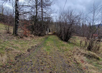 Syndyk sprzeda działki w Ustroniu