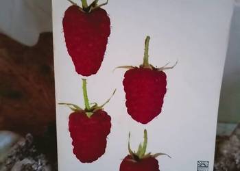 Smolarz książki Maliny księgarnia Praga Warszawa okazy upraw Smolarz książki Maliny księgarnia Praga Warszawa okazy upraw