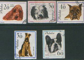 Zn. Fi 12236 - 30 kas 1963