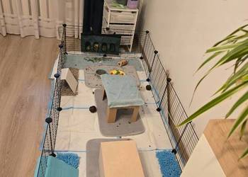 Modułowy wybieg dla gryzoni kojec klatka dla królika