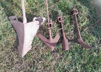 Redlice pazurki opielacza