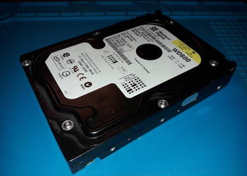Dysk ATA Western Digital 80GB - WDC WD800JB-00JJA0 - retro