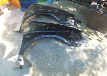 Błotniki Renaul senik