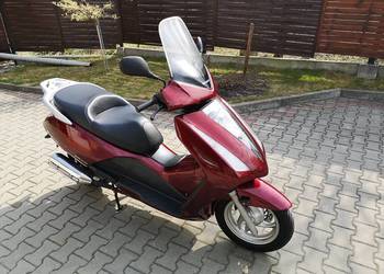 Honda 125cm Pantheon, bezwypadkowa kat.B