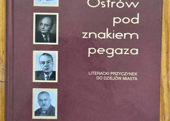 Ostrów pod znakiem pegaza Witold Banach