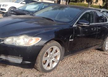 jaugar xf 3.0 diesel,okazja