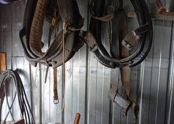 Sprzedam chomąto uprząż dla konia