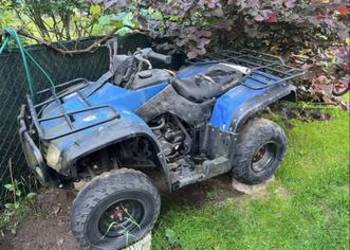 Quad 250 Loncin