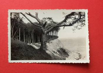 ( 1995 ) Zaklady Foto Stettin