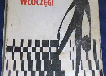 Przygody włóczęgi - Władysław Zgoda