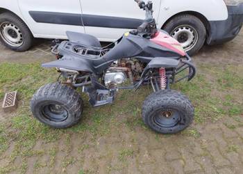 Quad 110 z Francji