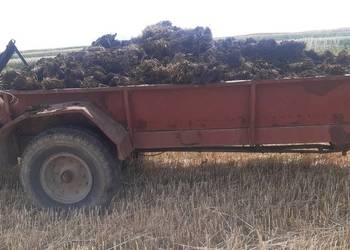 Rozrzutnik rur 5 talerzowy do obornika wapna 5 ton