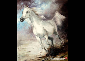 Kowalik - Biały koń - 50x60cm Obraz Olejny Szpachelka