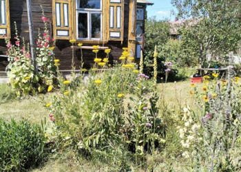 Perełka Podlasia m. Czarna Cerkiewna