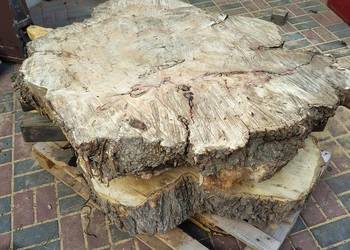 Plastry klon czerwony wymiary 120-100 cm.