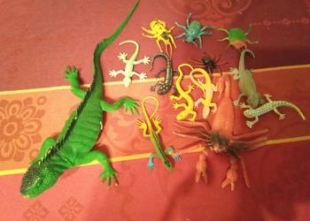 Figurki jaszczurek, owadów i skorpiona. Cena za komplet!