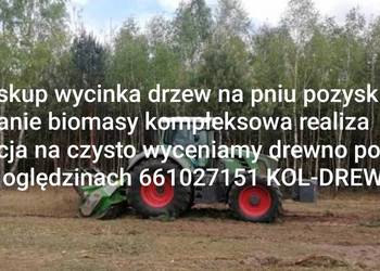 Usługi wycinania drzew skup drewna na terenie całej Polski