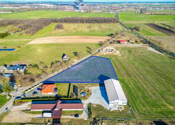 Oferta sprzedaży działki 7635m2 Pierławki