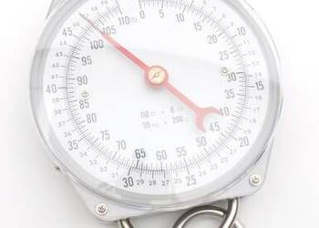 Waga zegarowa zawieszana 50 kg 486783