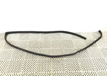 USZCZELKA DRZWI PRZÓD LEWA HONDA ODYSSEY Van (minibus)