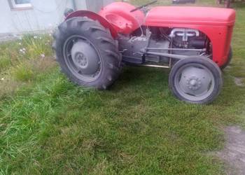 Sprzedam lub zamienię Fergusona TEA 20 na wózek widłowy