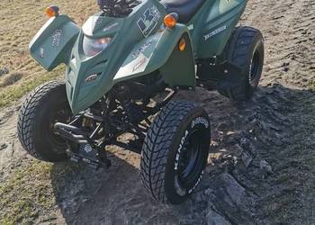 Duży Quad Adly/kwity l7e /kufer/ BDB stan