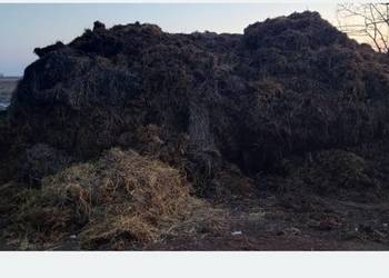 Obornik  wymienię na słomę