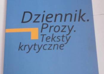 DZIENNIK PROZY TEKSTY KRYTYCZNE - RATOŃ KRZYSZTOF