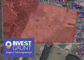 [54,00 ha] przetarg na dzierżawę gruntów rolnych