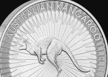 Monety srebrne kangur