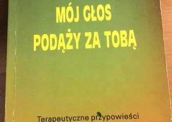 Mój głos podąży za tobą S. Rosen