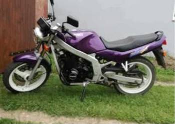 Suzuki GS500e